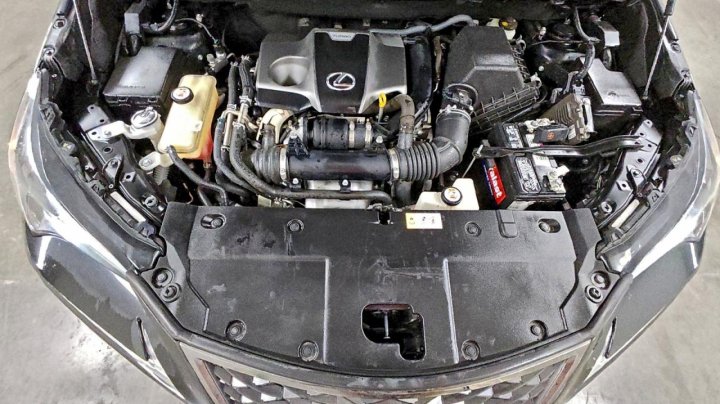 Lexus NX  2019