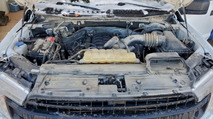 Ford F150  2019