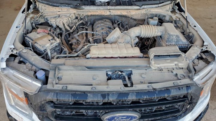 Ford F150  2022