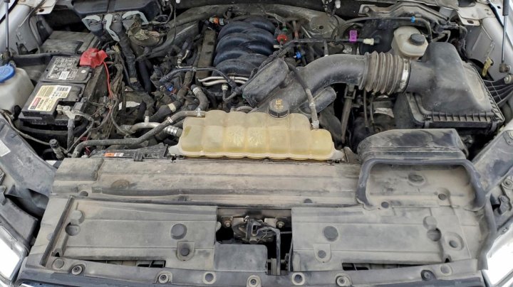 Ford F150  2019