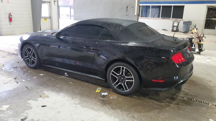 Ford MUSTANG  2023