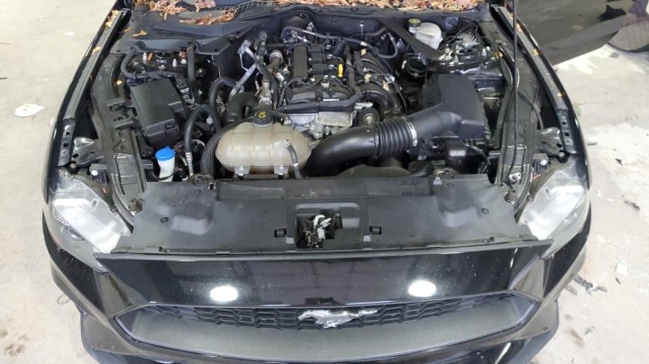 Ford MUSTANG  2023