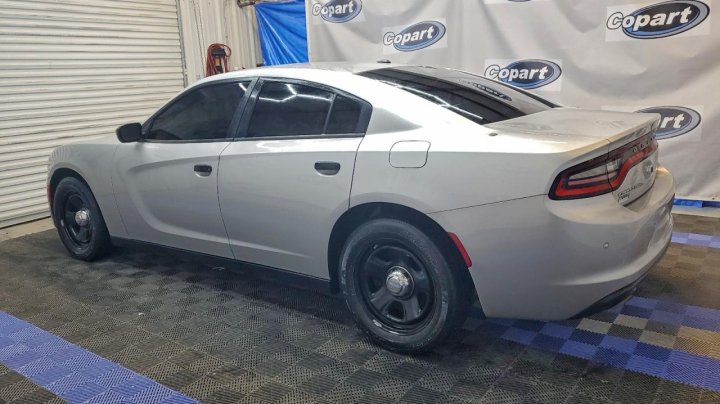 Dodge Charger  2019