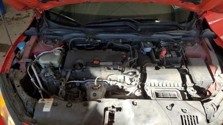 Honda Civic  2017