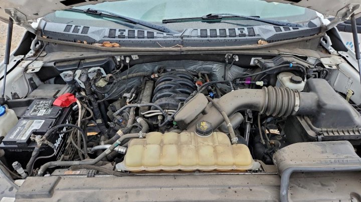 Ford F150  2019