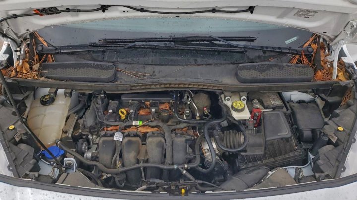 Ford TRANSIT CONNECT  2022