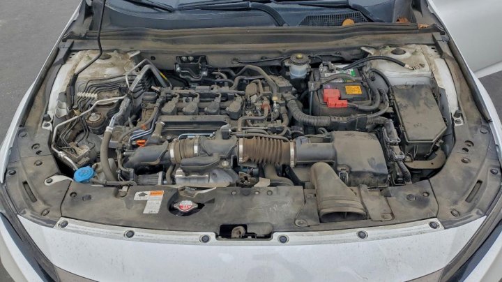 Honda Accord  2021