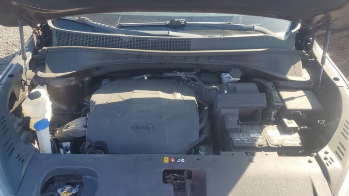 KIA Sorento  2019