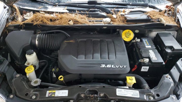 Dodge Grand Caravan  2018