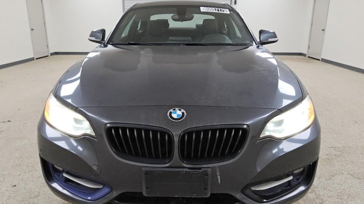 BMW 228  2016