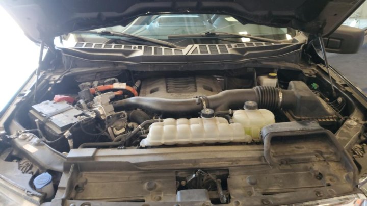 Ford F150  2023