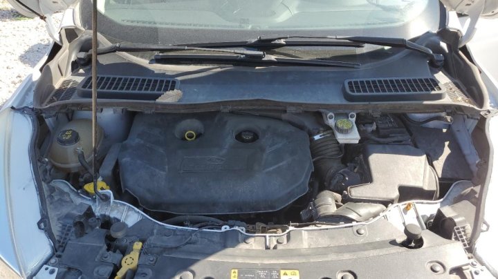 Ford Escape  2019