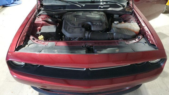 Dodge Challenger  2021