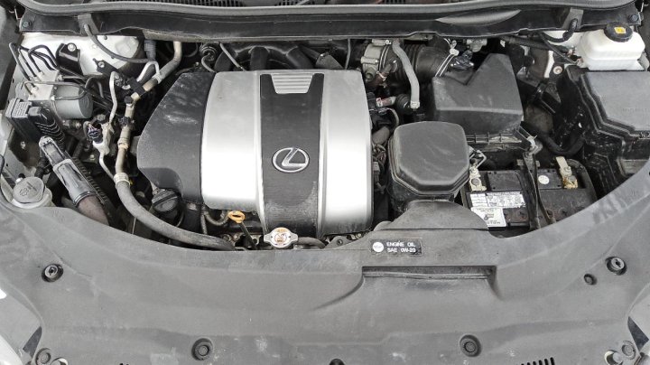 Lexus RX  2020