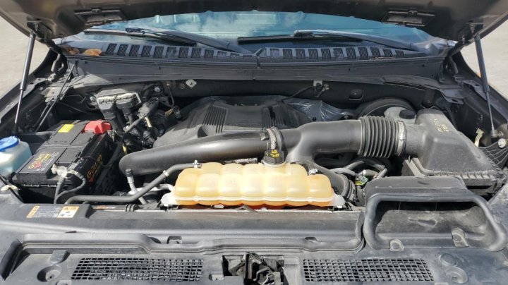 Ford EXPEDITION  2019