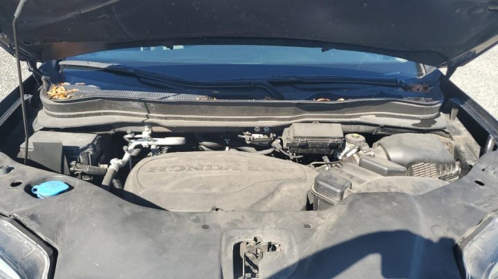 Honda Pilot  2022
