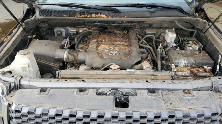Toyota TUNDRA  2019