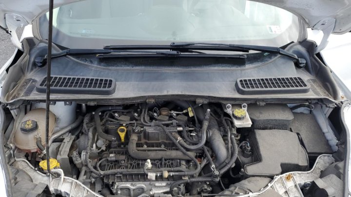 Ford Escape  2019
