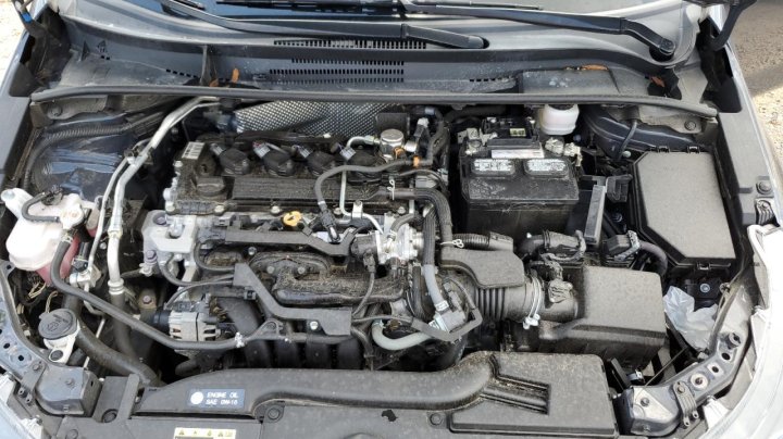 Toyota Corolla  2023