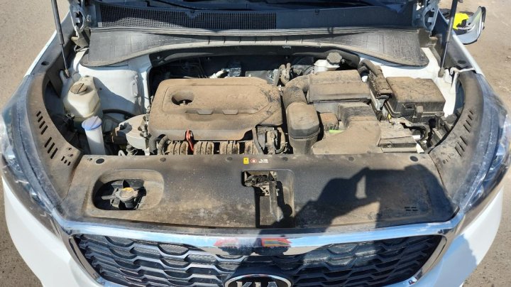 KIA Sorento  2019