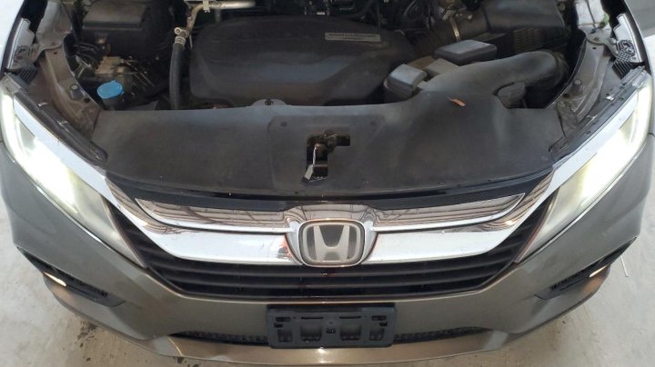 Honda Odyssey  2019