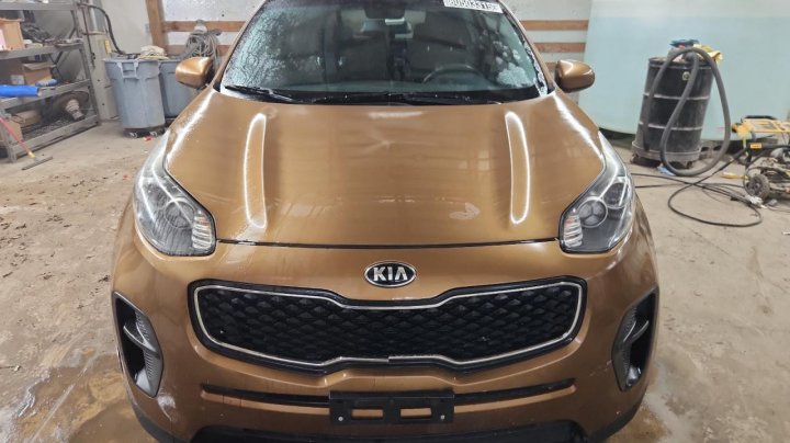 KIA Sportage  2017