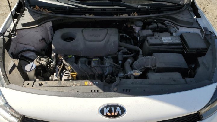 KIA RIO  2019