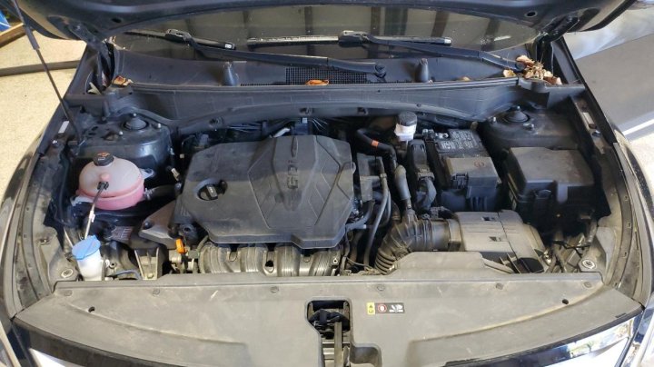 KIA Sportage  2023