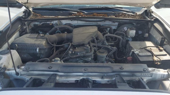 Toyota TACOMA  2021