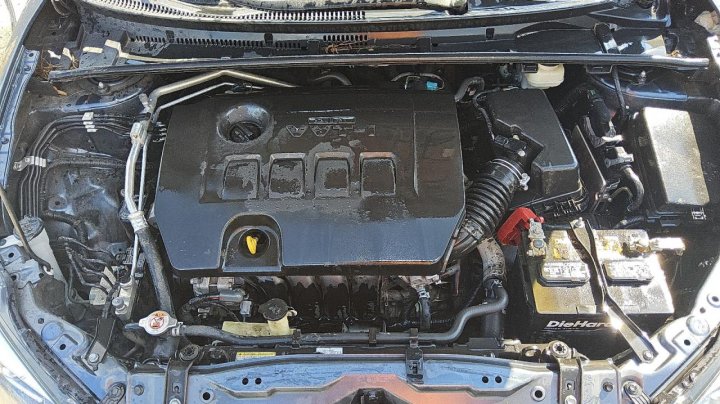 Toyota Corolla  2019