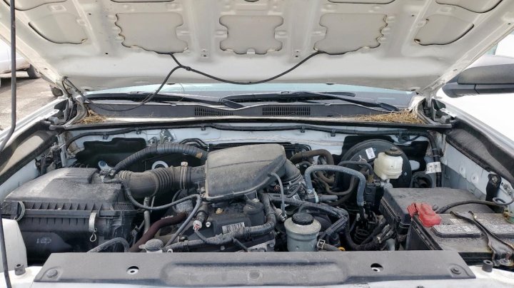 Toyota TACOMA  2021
