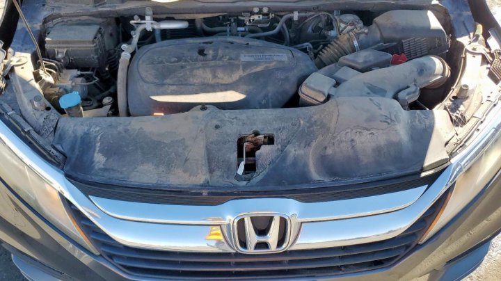 Honda Odyssey  2020