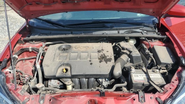 Toyota Corolla  2019