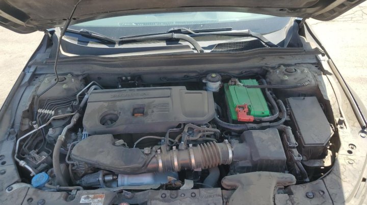 Honda Accord  2021