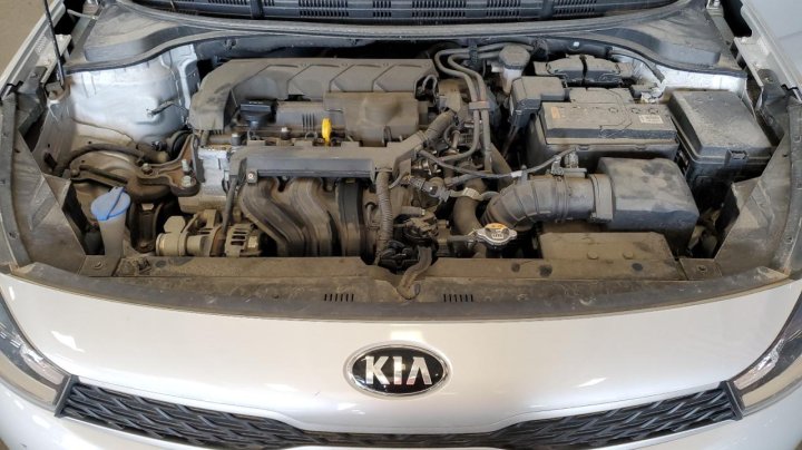 KIA RIO  2020