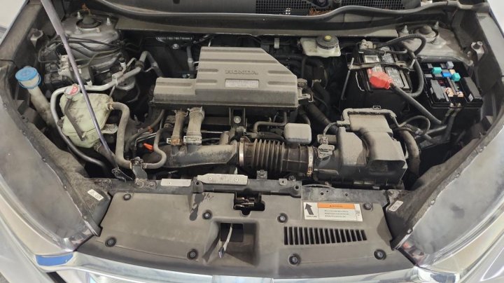 Honda CR-V EX 2019