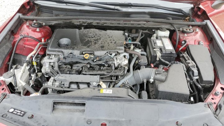 Toyota Camry LE 2021