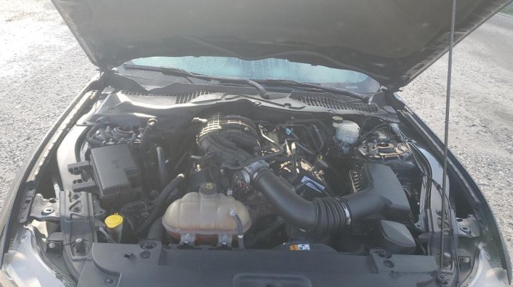 Ford MUSTANG  2016