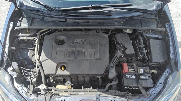 Toyota Corolla L 2019