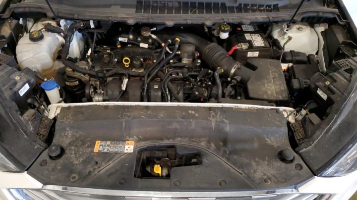 Ford EDGE SEL 2022
