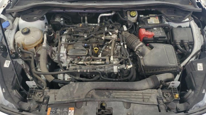 Ford Escape SE 2022