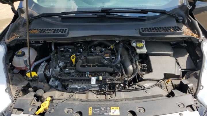 Ford Escape SE 2019