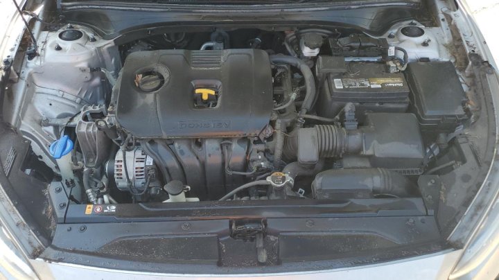 KIA FORTE FE 2019