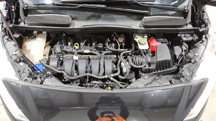 Ford TRANSIT CONNECT XLT 2020