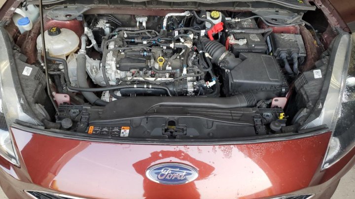 Ford Escape  2021