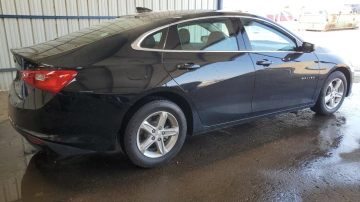 Chevrolet Malibu  2024