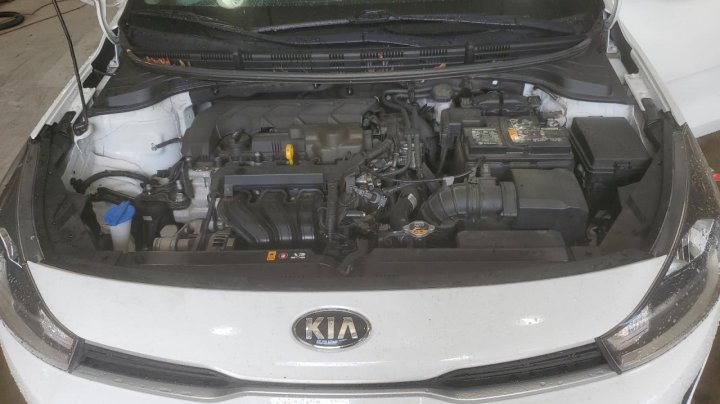 KIA RIO  2021