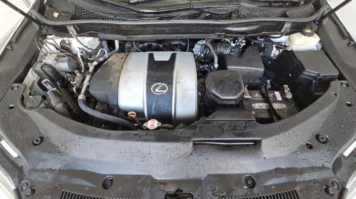 Lexus RX 350 BASE 2019