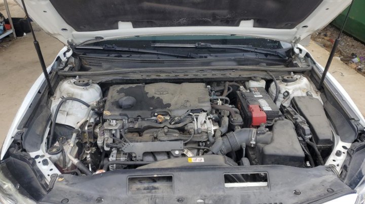 Toyota Camry L 2019