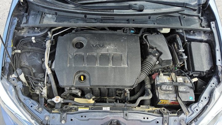 Toyota Corolla L 2019